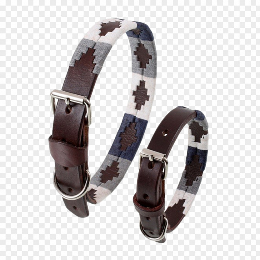 Dog Collar Belt Leash PNG