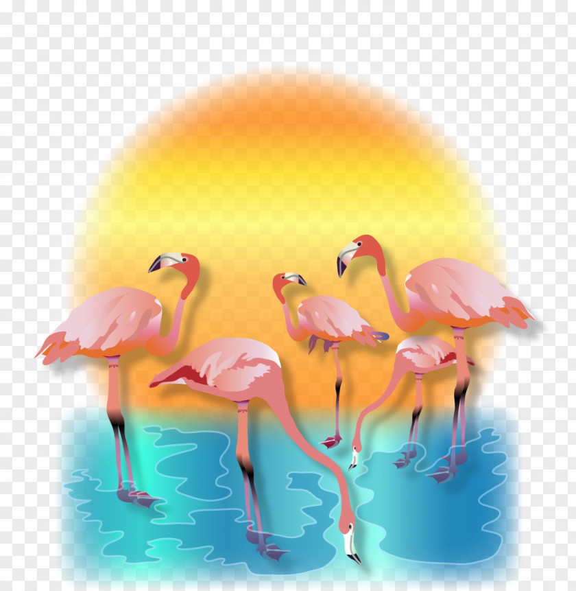 Flock Chicken Orange Cafe Bird Logo Egg PNG