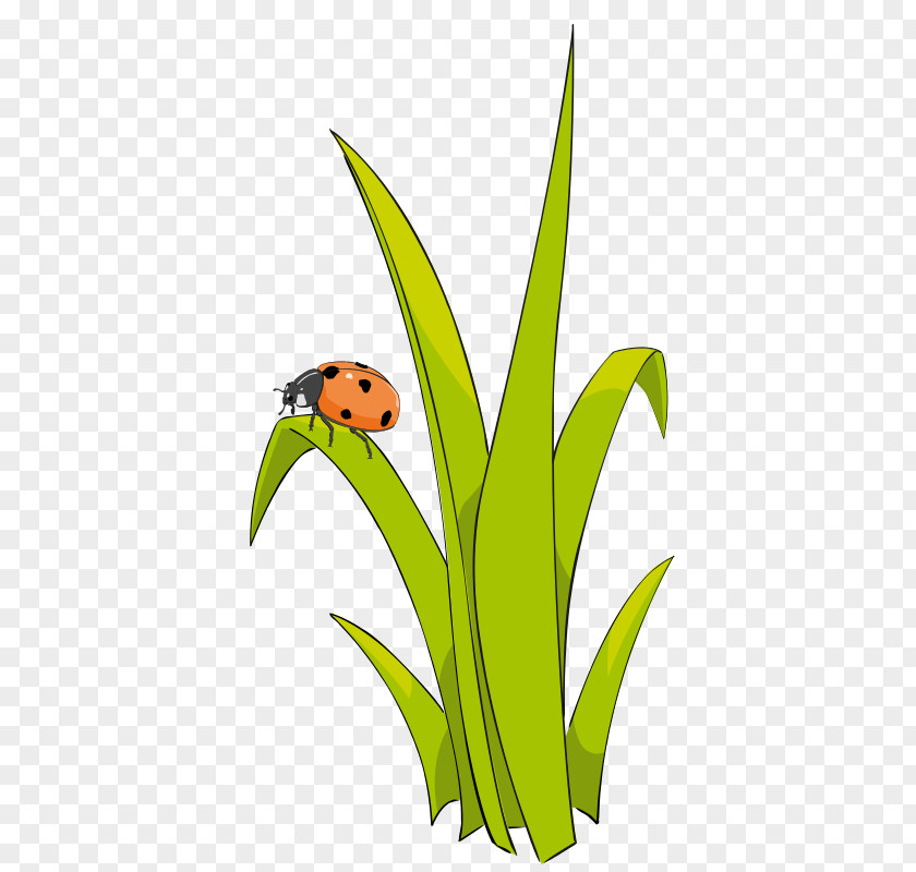 Ladybug Free Content Clip Art PNG