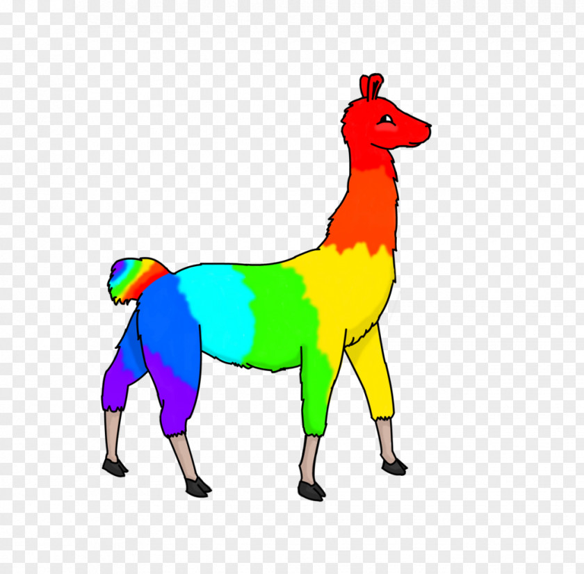 Llama Animal Drawing Desktop Wallpaper Clip Art PNG