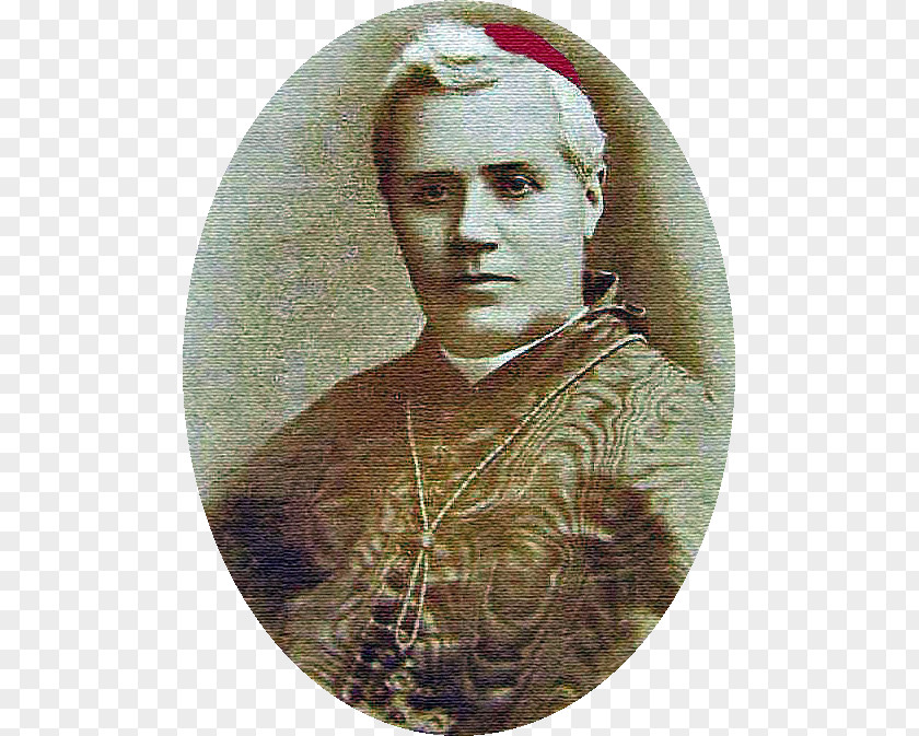 Pope Pius Ix Patriarch Of Venice X Church History Authority PNG