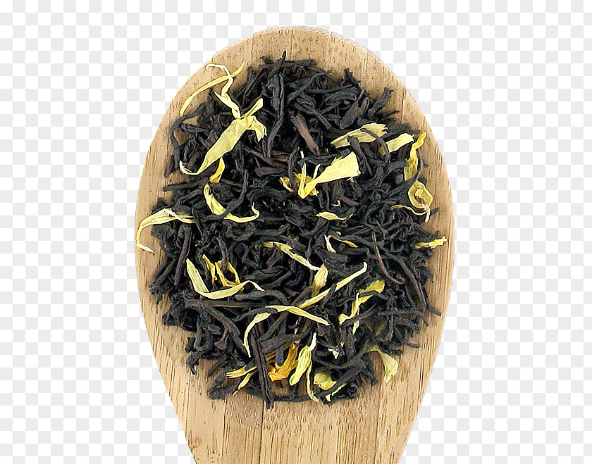 Tea Plant Nilgiri Dianhong Keemun PNG