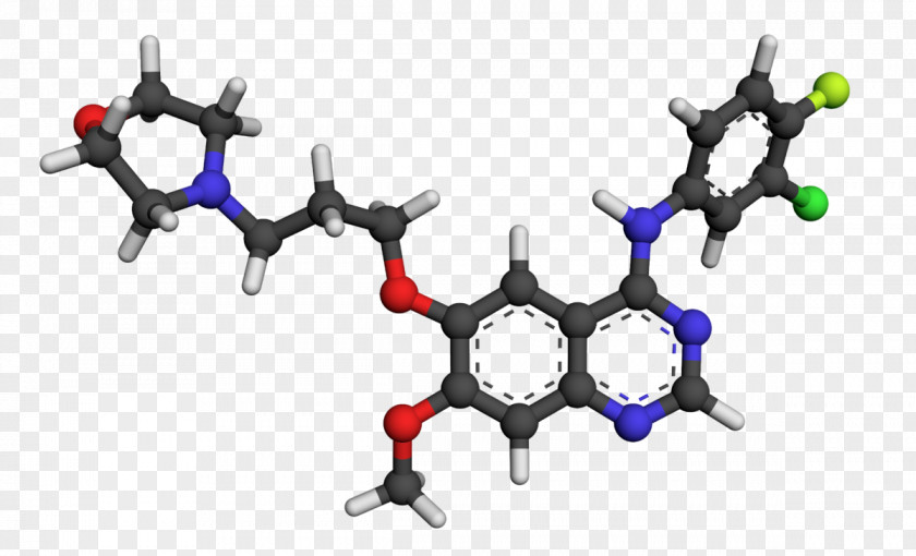 Wikipedia Afatinib Isotretinoin Gefitinib Pharmaceutical Drug PNG