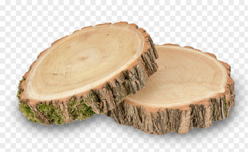 Wood Baumscheibe Tree Table Wattles PNG