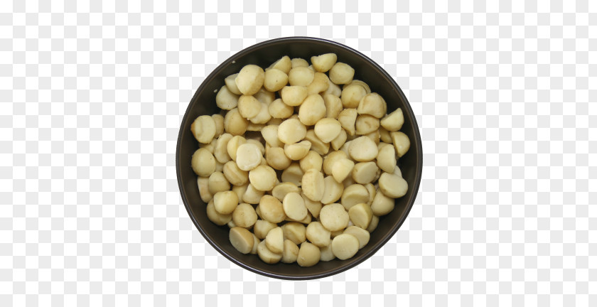 Macadamia Nuts Vegetarian Cuisine Bean Food Commodity PNG