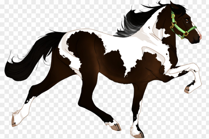 Basic Water Paint Ideas Stallion Mare Mane Mustang Foal PNG