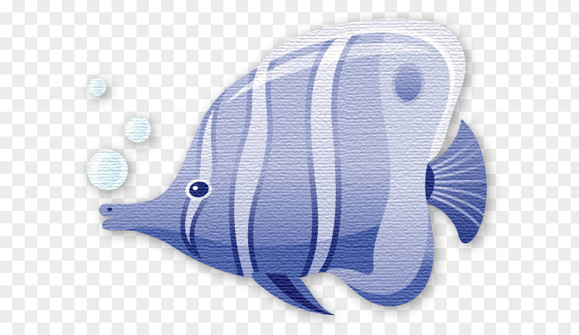 Fish Tropical Kissing Gourami Clip Art PNG