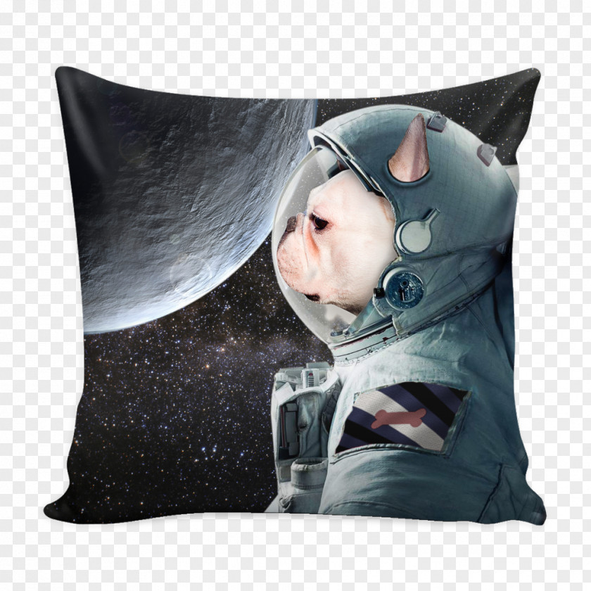 French Dog Endurance: A Year In Space, Lifetime Of Discovery Cushion Throw Pillows Snout PNG