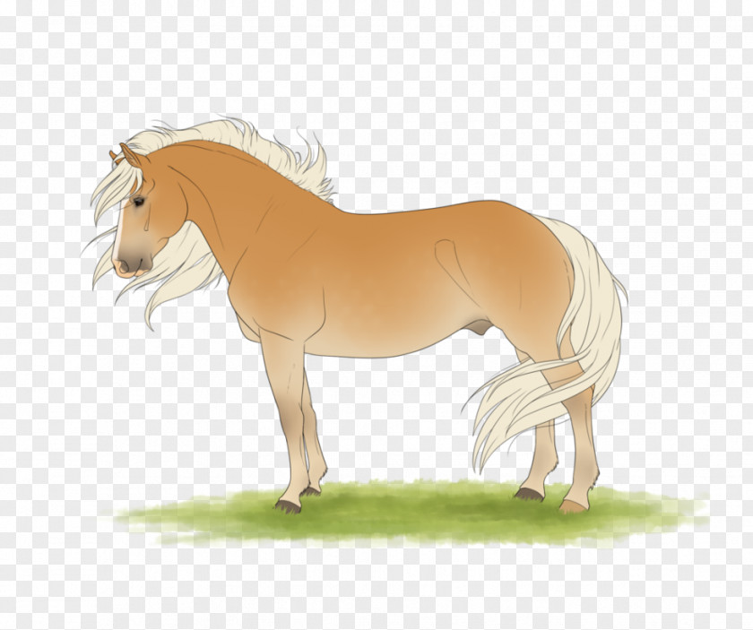 Horse Juliana Crain Stallion Art If I'd Met You PNG