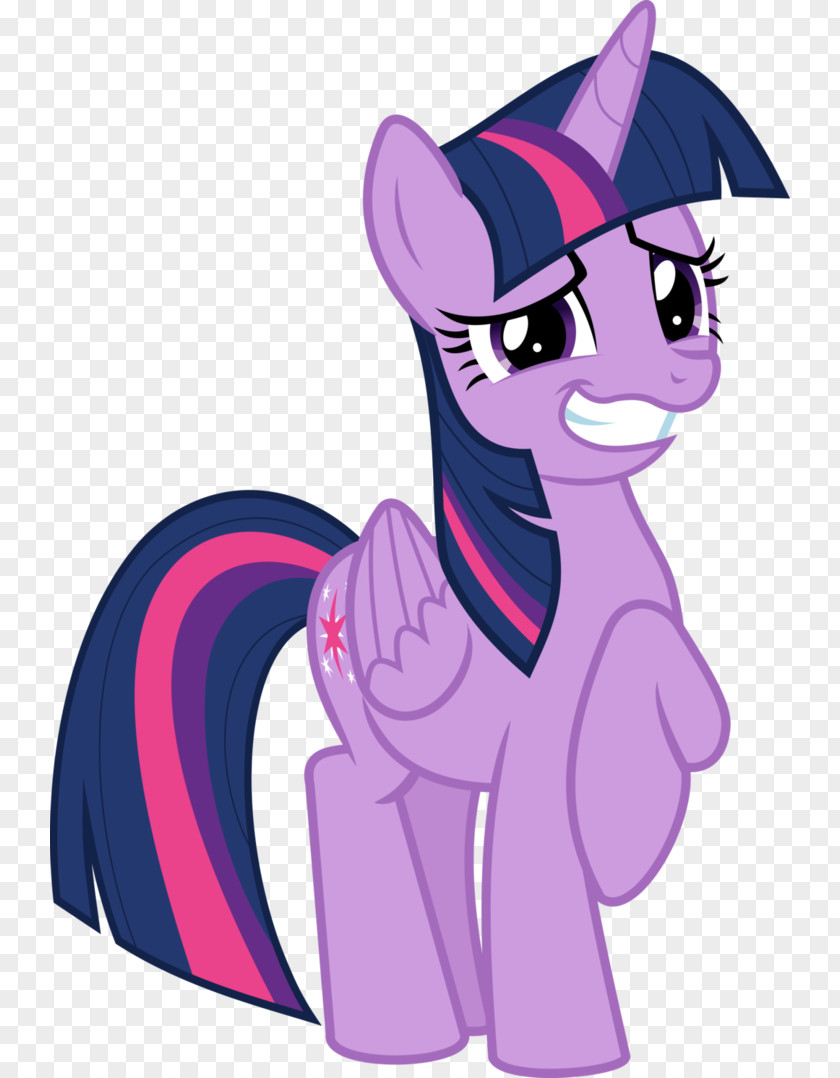 My Little Pony Twilight Sparkle Rainbow Dash Rarity Applejack PNG