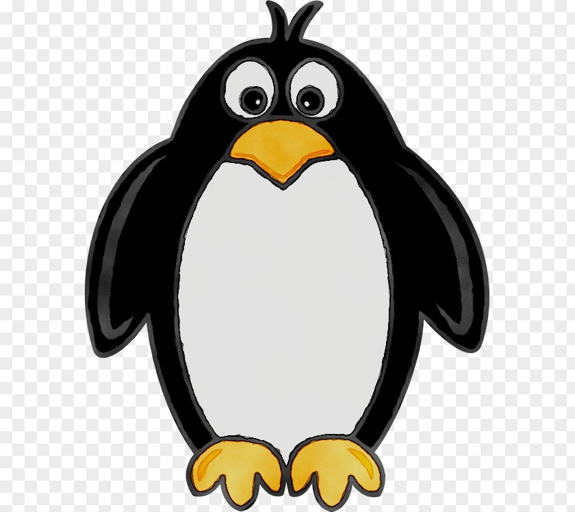 Penguin Clip Art Drawing Cartoon PNG