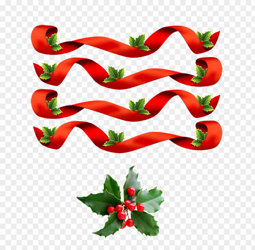 Ribbon Tabasco Pepper Christmas Carol Cockade PNG