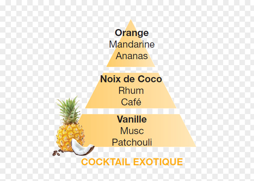 Rum Cocktail Fragrance Lamp Perfume Christmas Tree Brand PNG