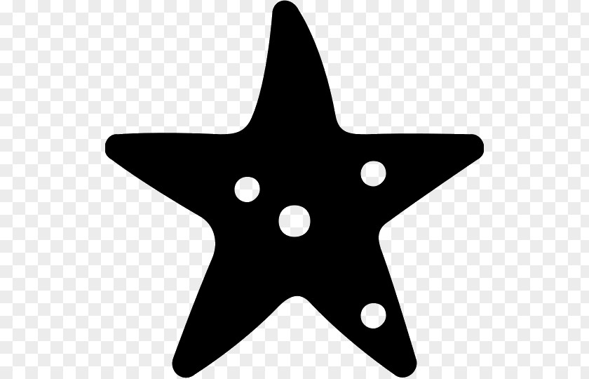 Starfish Icon Design Clip Art PNG