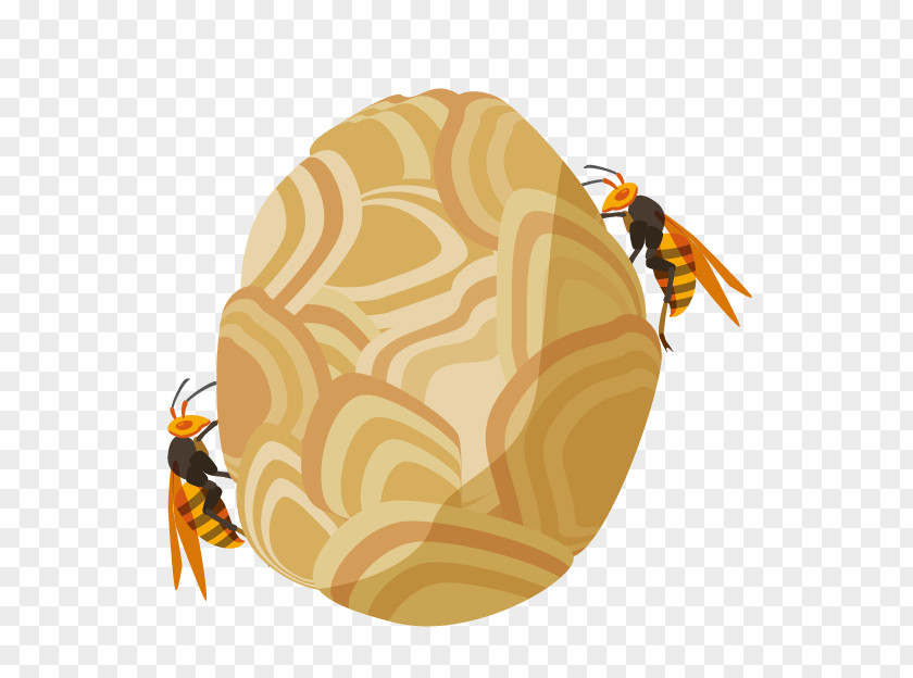 Bee Honey True Wasps Pest Control PNG