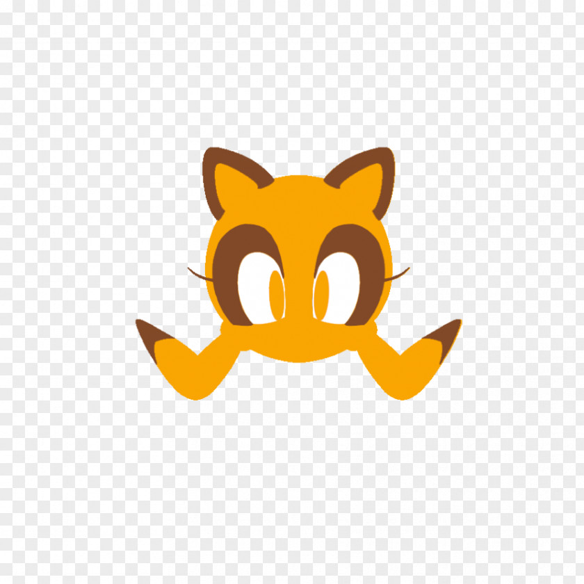 Cat Whiskers Sonic Rush Adventure Marine The Raccoon PNG