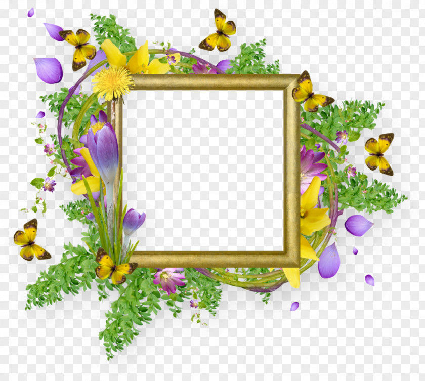 Easter Frame Picture Frames Butterfly Flower PNG