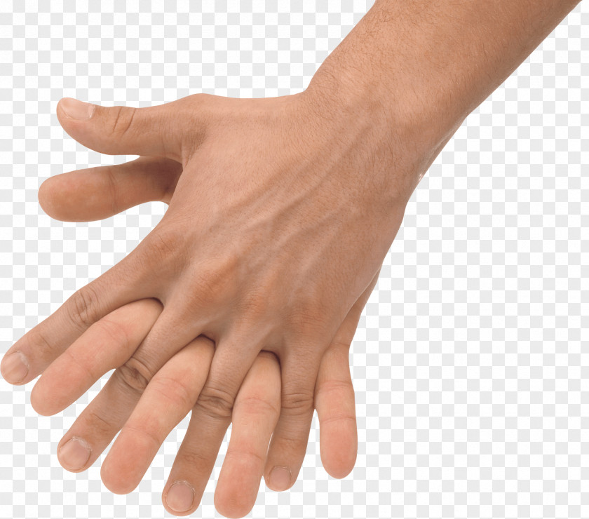 Hands Hand Image PNG