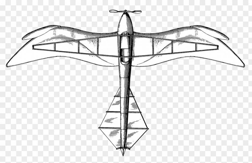 Autumn Flyer Line Art Symmetry Drawing Product Design Propeller PNG
