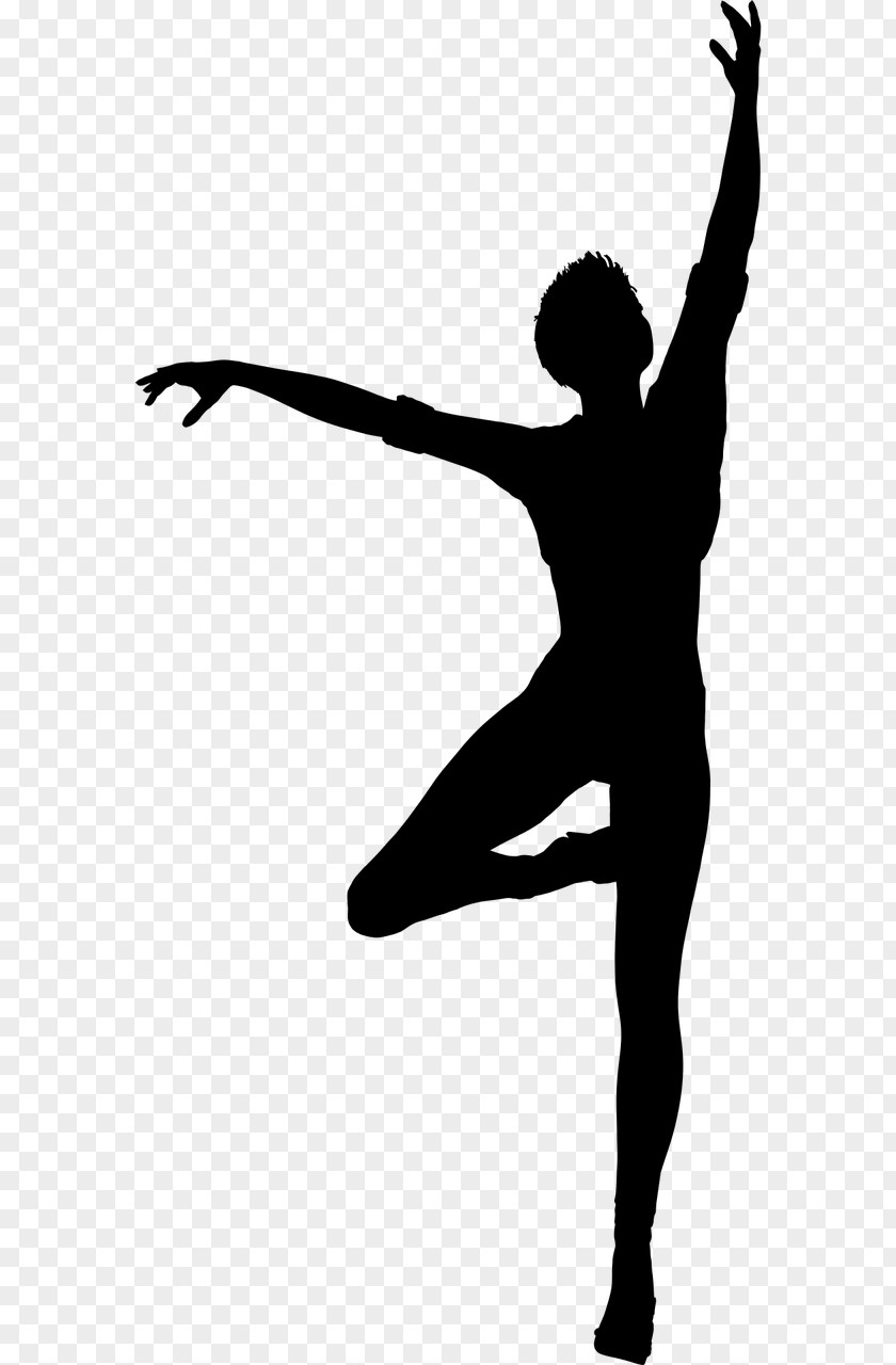 Dancing Vector Moscow State Academy Of Choreography Ballet Dancer Silhouette PNG