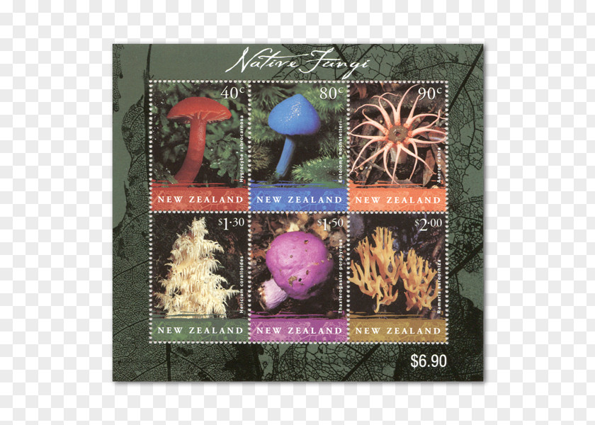 Mushroom New Zealand Miniature Sheet Postage Stamps Stamp Block PNG
