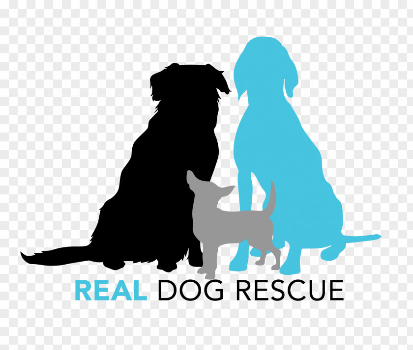 Puppy Dog Breed Cat Real Rescue PNG
