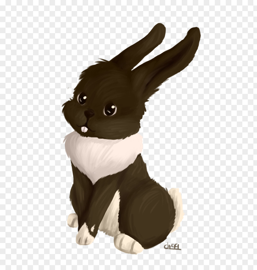 Rabbit Domestic Hare Easter Bunny Fur PNG