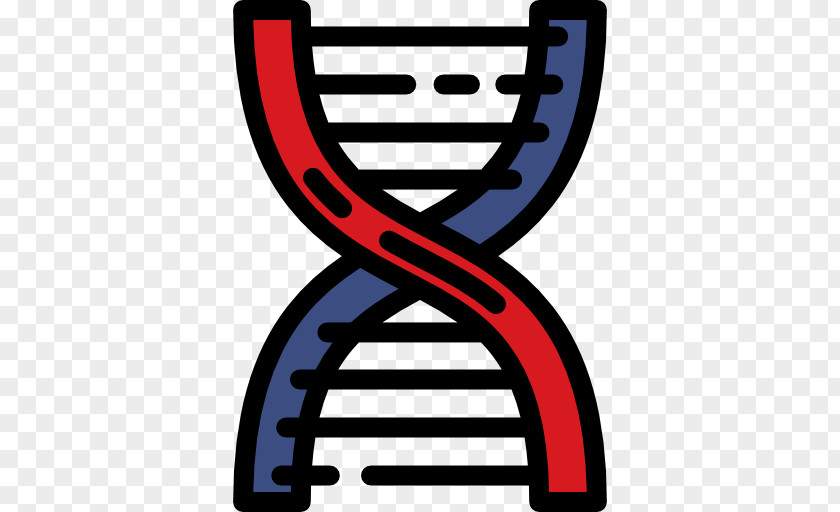 Science DNA Molecular Structure Of Nucleic Acids: A For Deoxyribose Acid Biology PNG