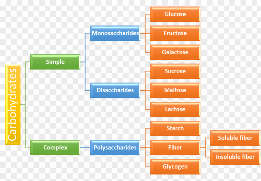 Sugar Carbohydrate Disaccharide Food Polysaccharide Dietary Fiber PNG