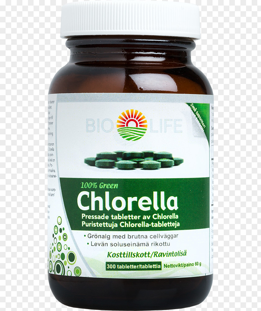 Chlorella Photosynthesis Superfood Unicellular Organism Algae PNG