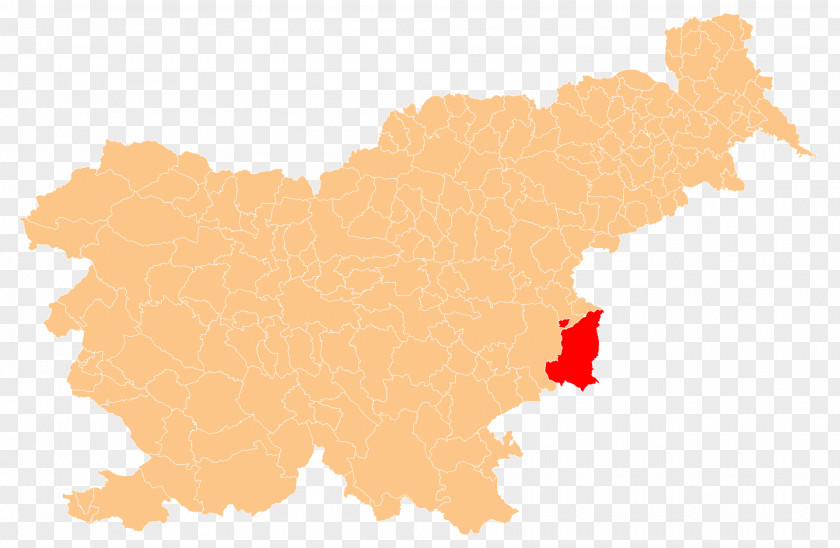 Gornja Radgona Municipality Of Jezersko Celje Dobrovnik Zagorje Ob Savi PNG