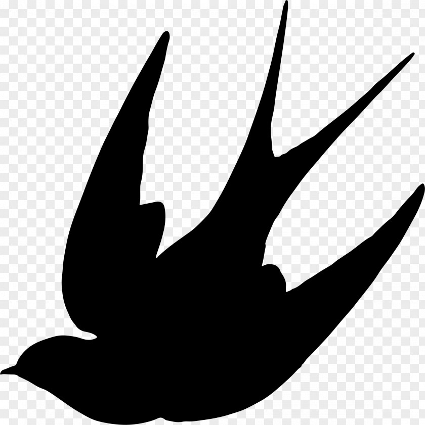 Silhouettes Swallow Bird Silhouette Clip Art PNG