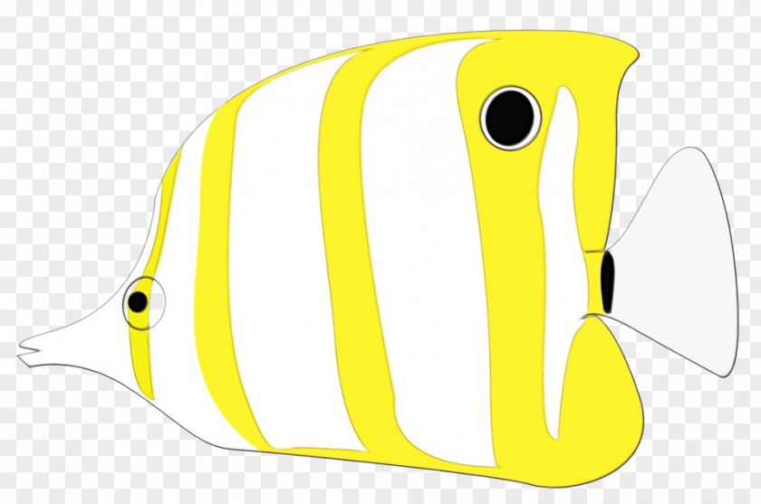Holacanthus Fish Yellow Butterflyfish Pomacanthidae PNG