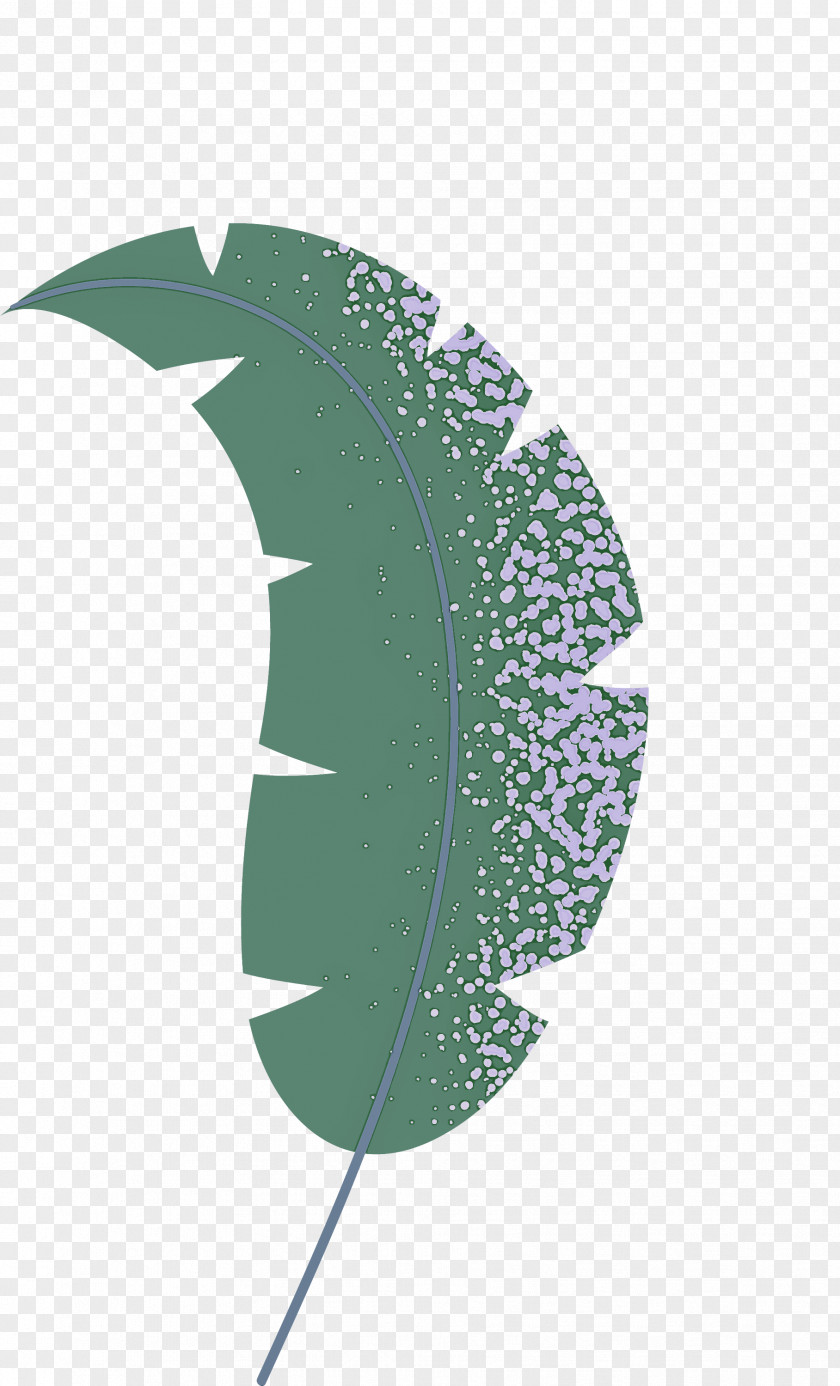 Leaf Plant Stem Petal Flower Tree PNG