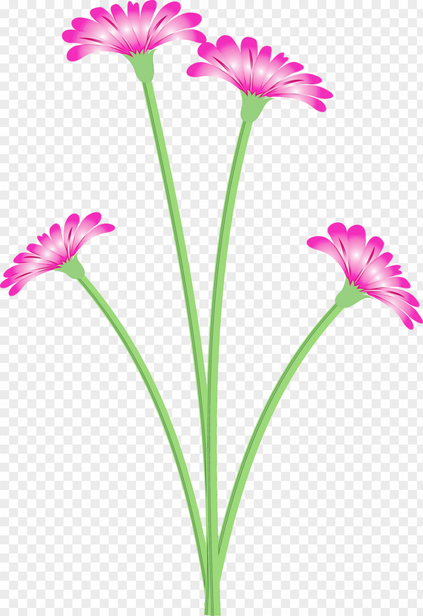 Plant Stem Youtube PNG