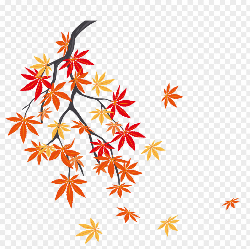 The Falling Leaves On A Maple Tree Autumn Leaf Color PNG