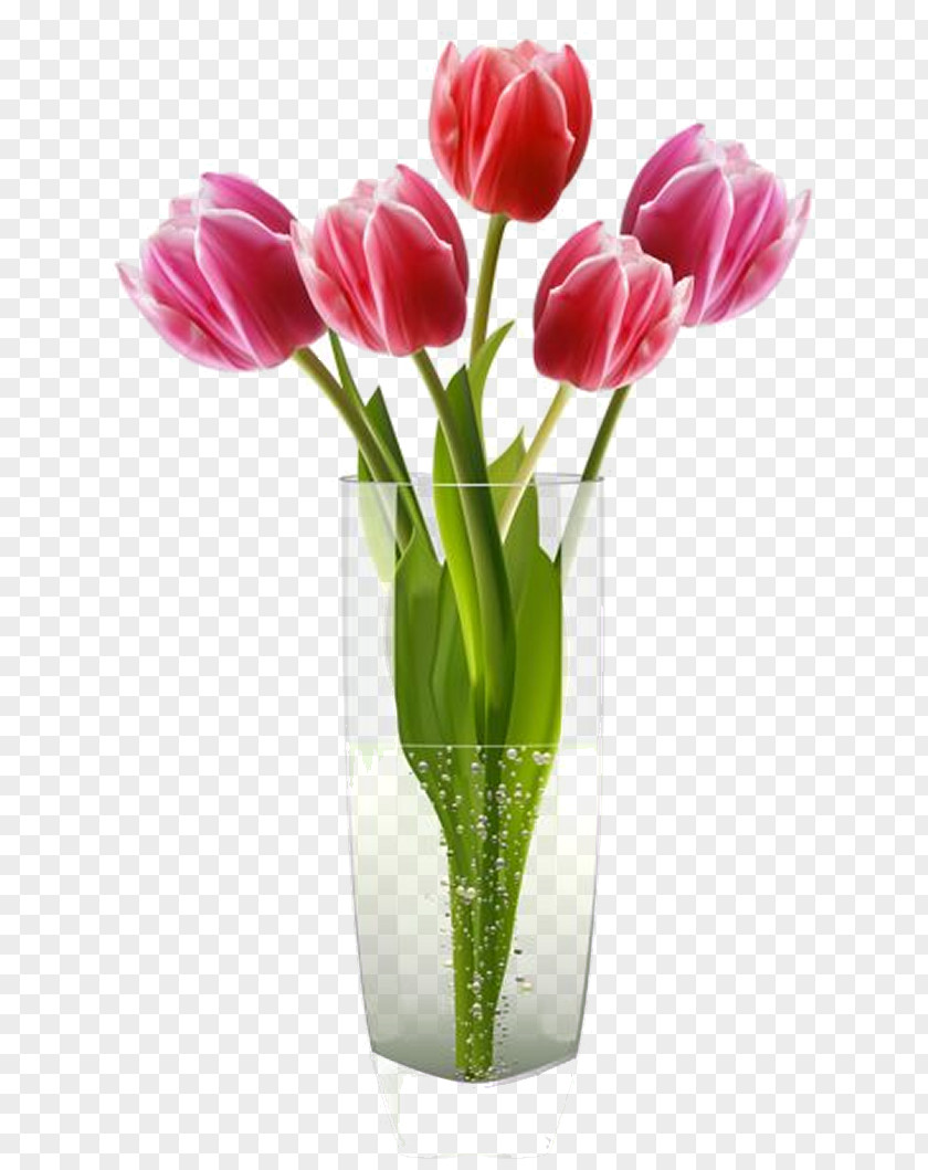 Vase Tulip Flower Clip Art PNG