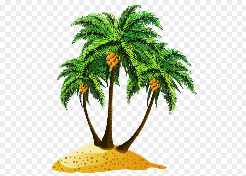 Island Beach Clip Art PNG