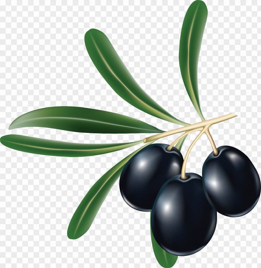 Black Olives Tapenade Kalamata Olive Greek Cuisine PNG