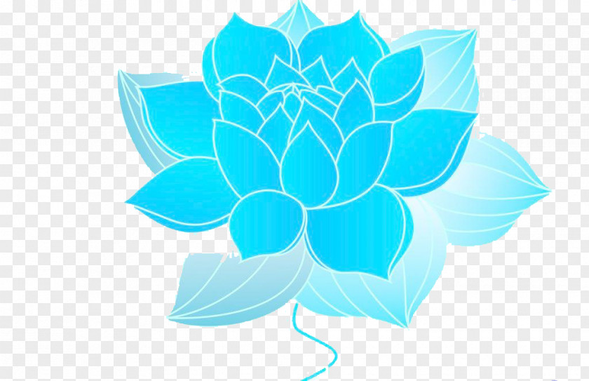 Blue Lotus Nelumbo Nucifera PNG