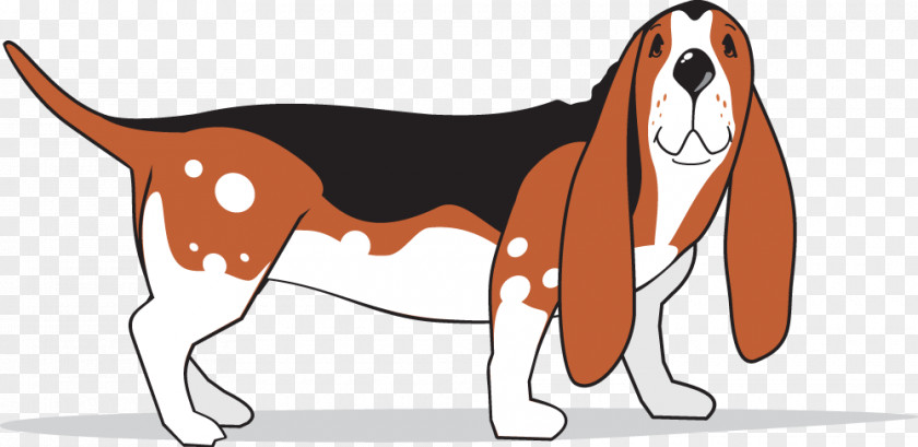 Book Basset Hound American Foxhound English Harrier Finnish PNG