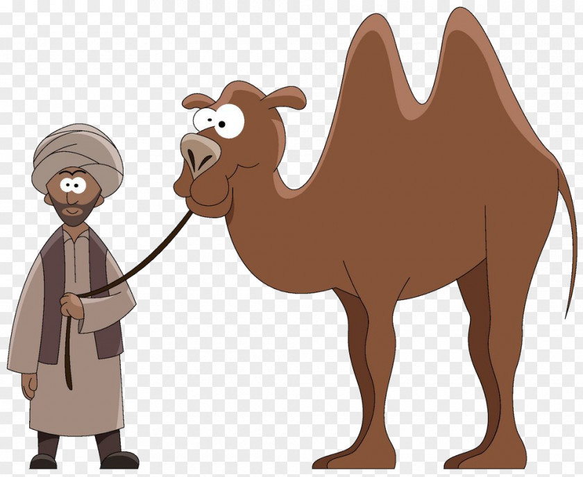 Camel Dromedary Cartoon Stock Photography Clip Art PNG