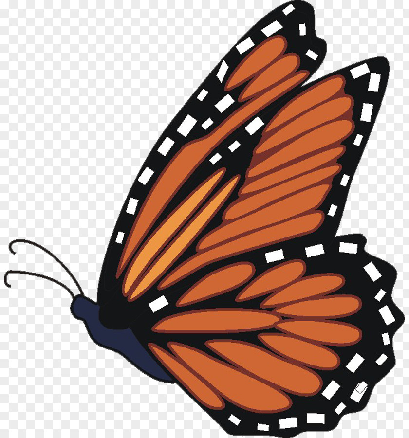 Cartoon Monarch Butterfly Clip Art PNG