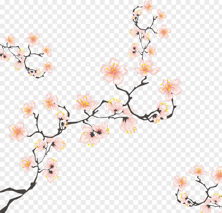 Cherry Tree Branches Blossom Drawing Illustration PNG