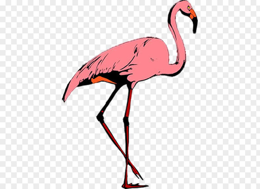 Crane Flamingos Bird Stork Clip Art PNG