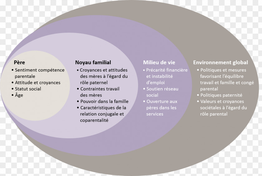 Ecologic Development Fund Ecological Systems Theory Ecology Modell Social Model Psychology PNG