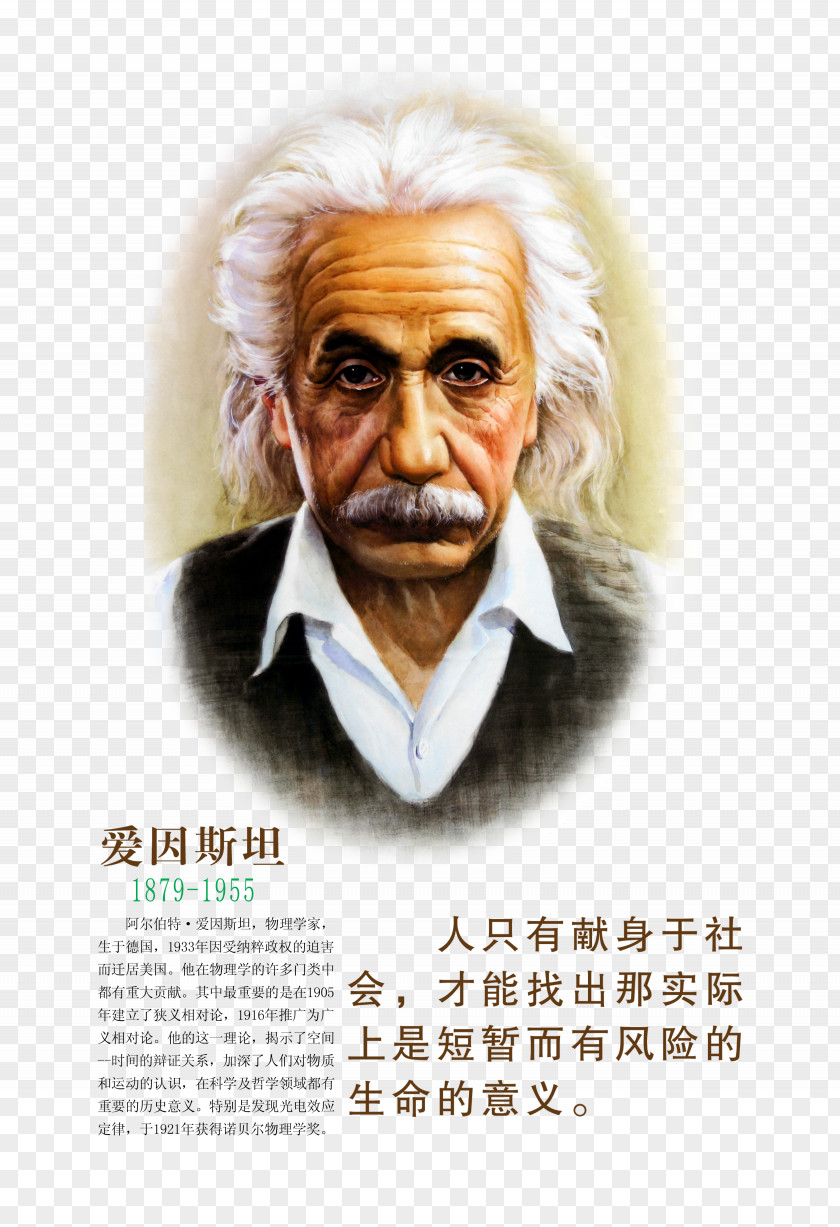 Einstein Panels Albert The Theory Of Relativity Scientist PNG
