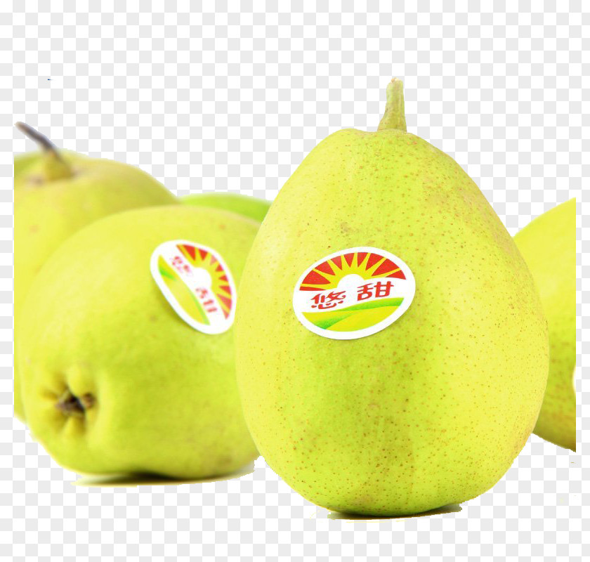 Fresh Pear Fruit PNG