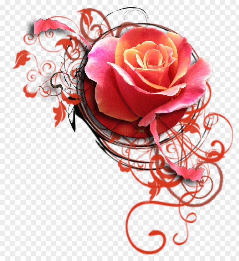 Happiness Garden Roses Wednesday Blog PNG