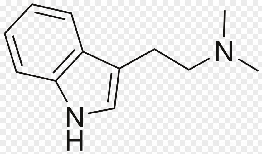 N,N-Dimethyltryptamine Molecule 5-MeO-DMT Psilocin PNG